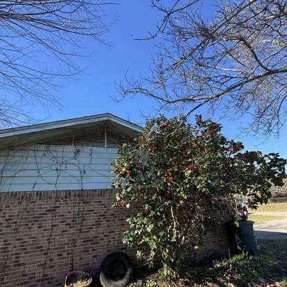 Pressure washing results by Ark-La-Tex Pressure Pros