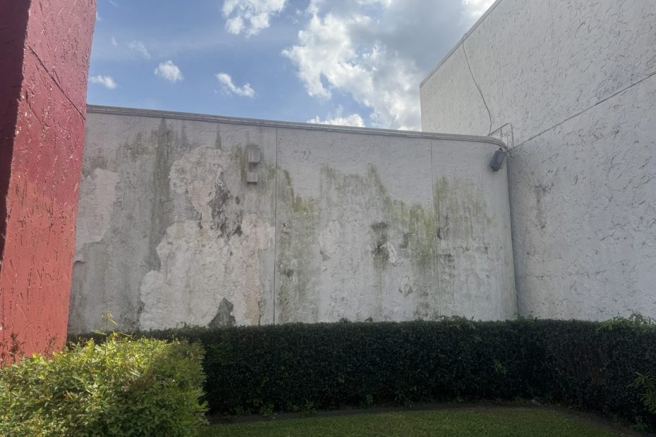 White stucco commercial wall streaked with green algae before washing in Haughton, LA