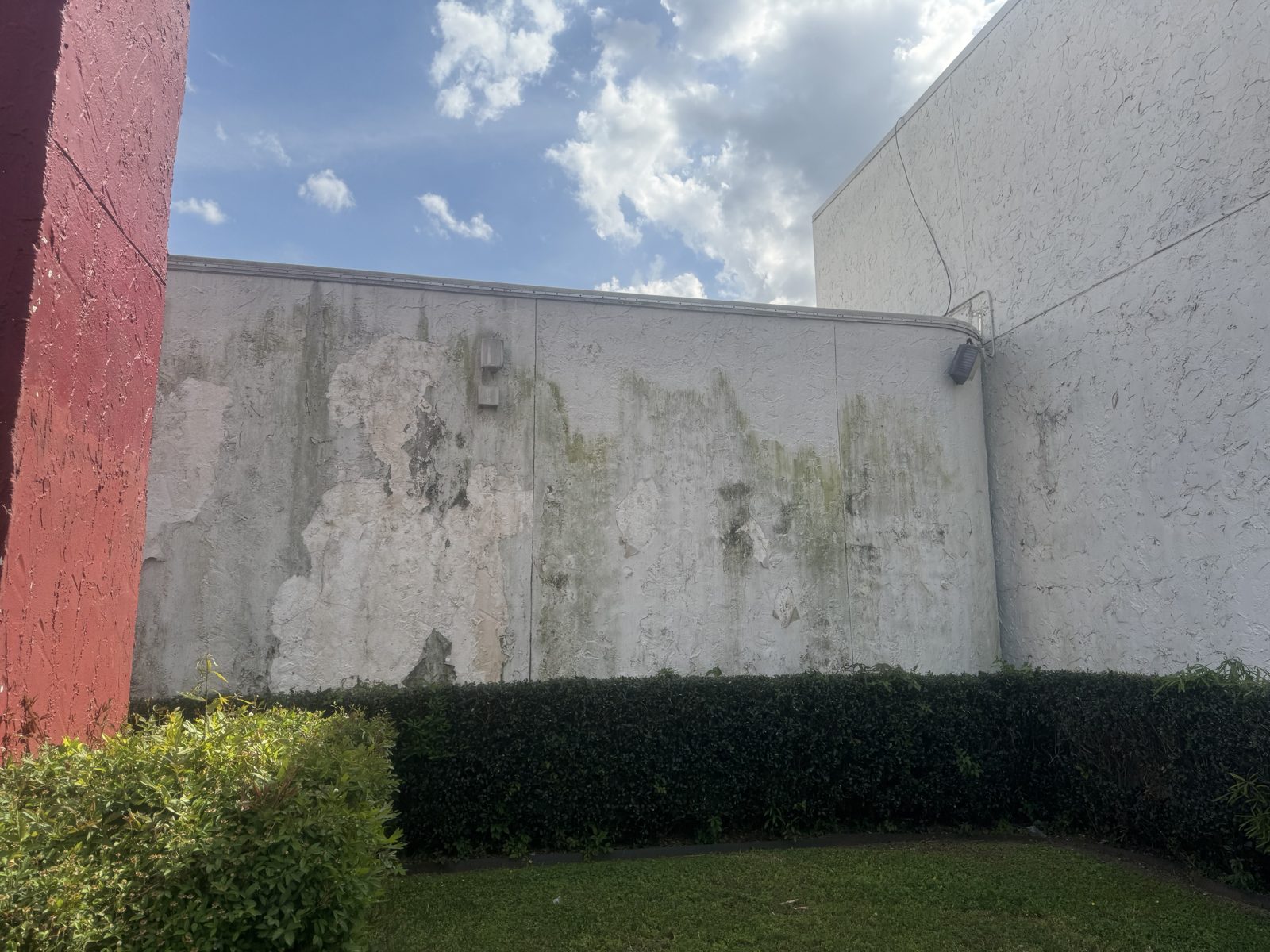 White stucco commercial wall streaked with green algae before washing in Haughton, LA